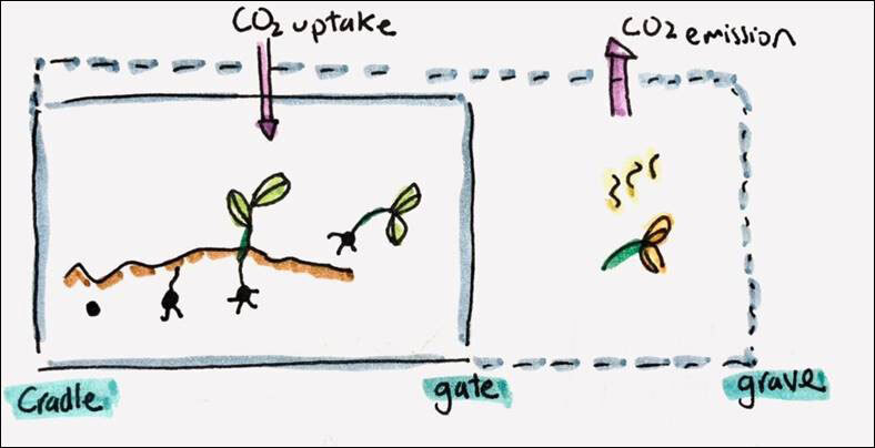 Biogenic carbon diagram