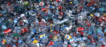 plastic bottles in trash