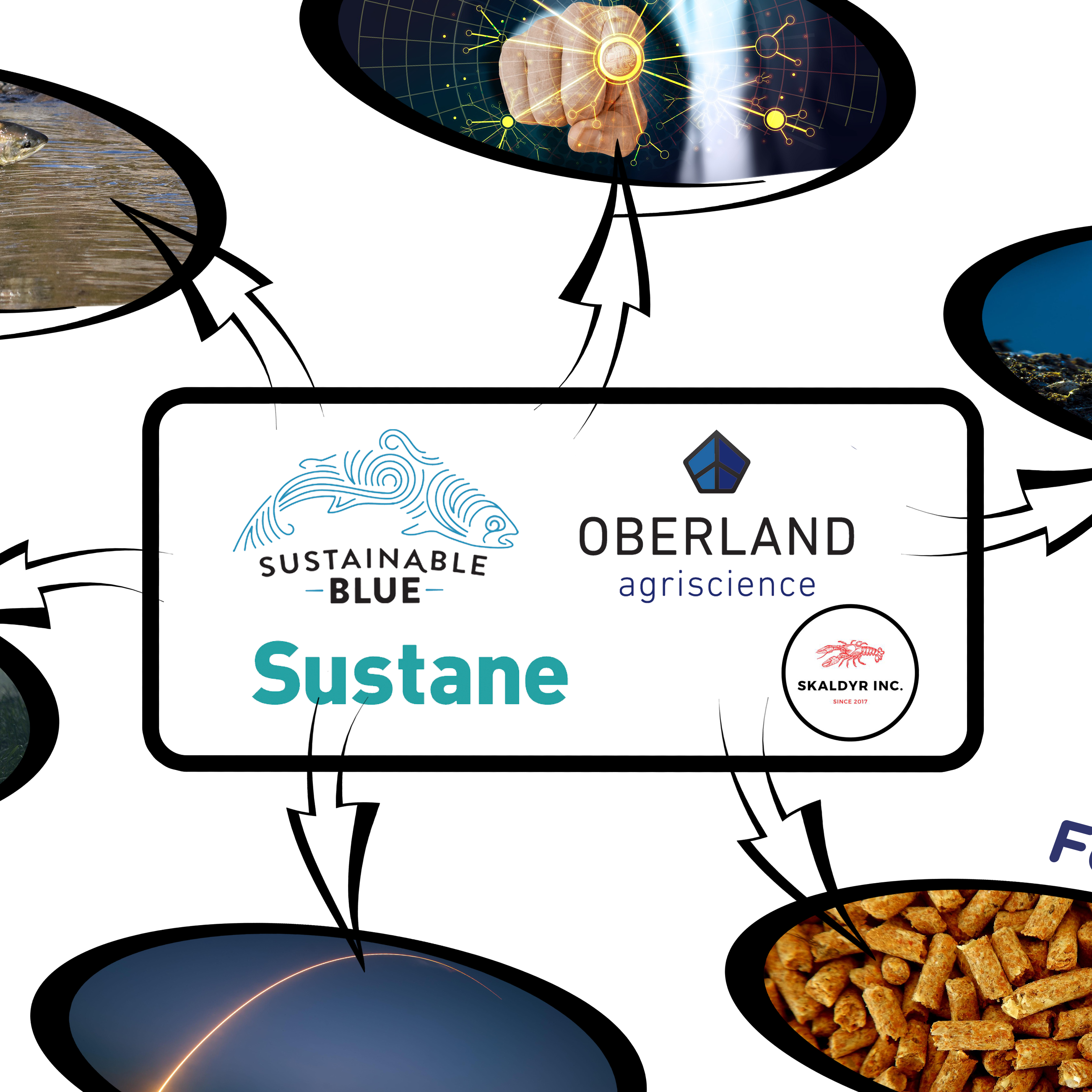 Oberland industrial ecosystem