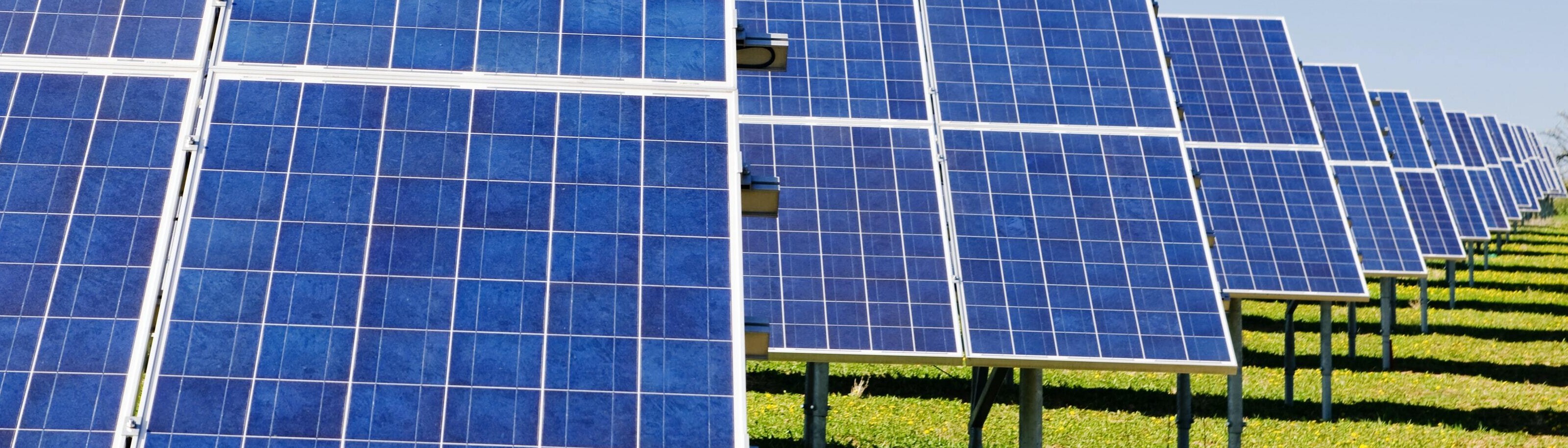 solar panels in field